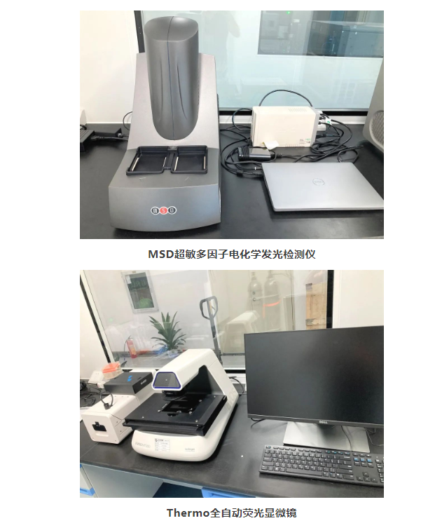 尊龙凯时人生就是博(中国)Z6官网